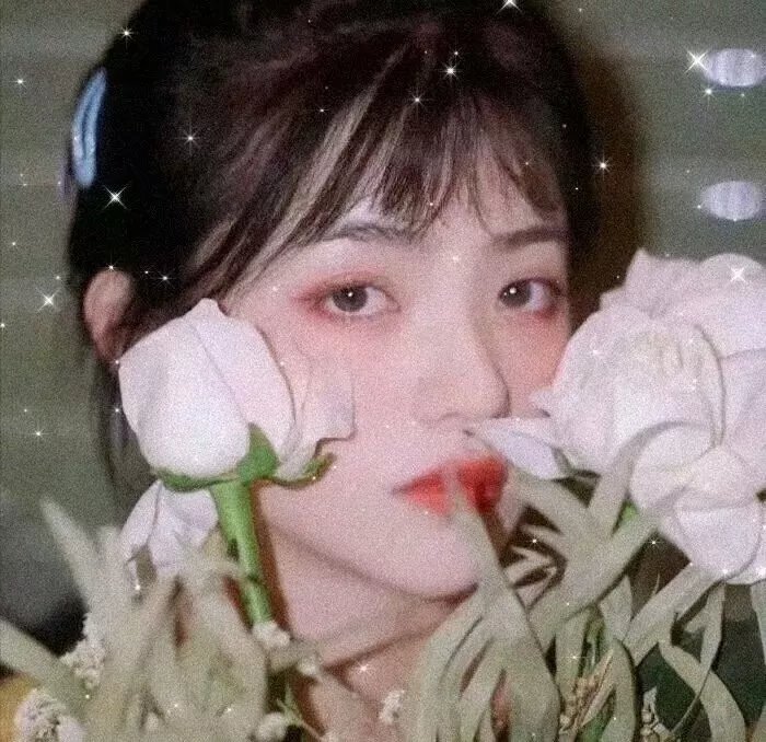 护花惊情海报